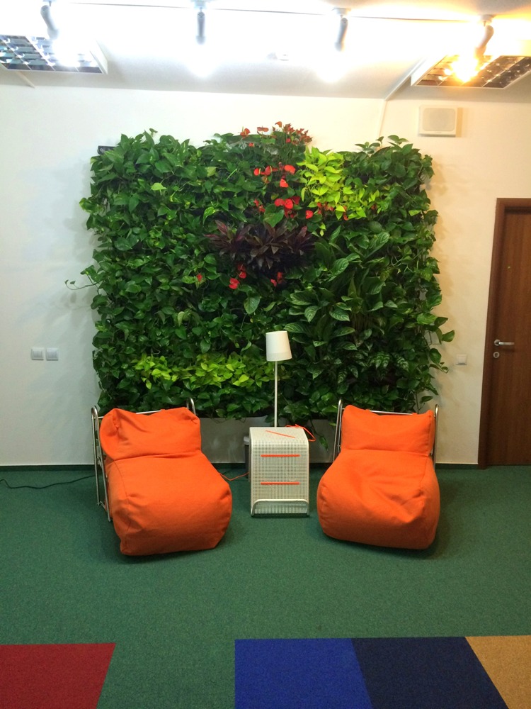 Perete vegetal cu plante naturale într-o zonă de lounge